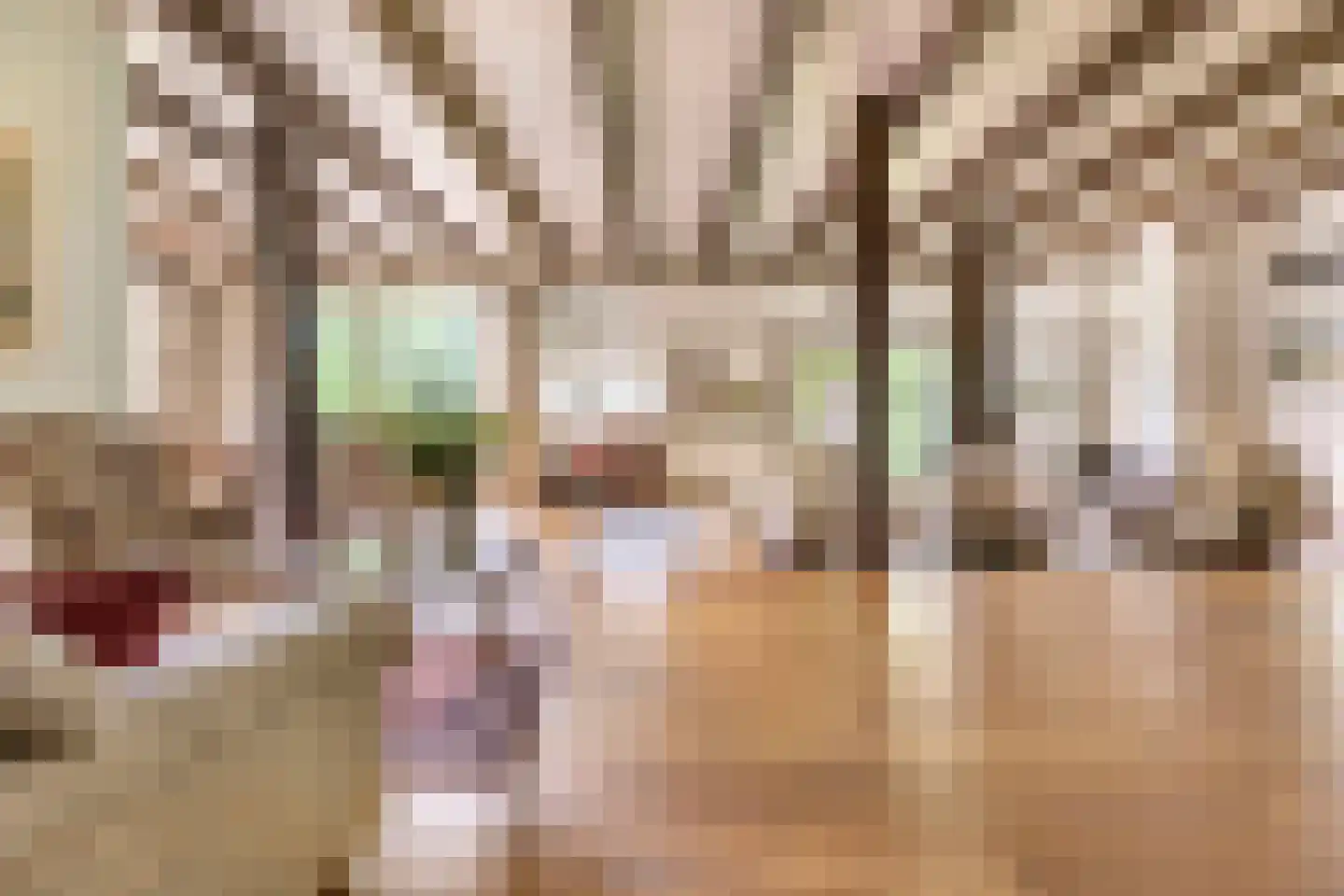 Veenhof 6 Gieten thumbnail 18