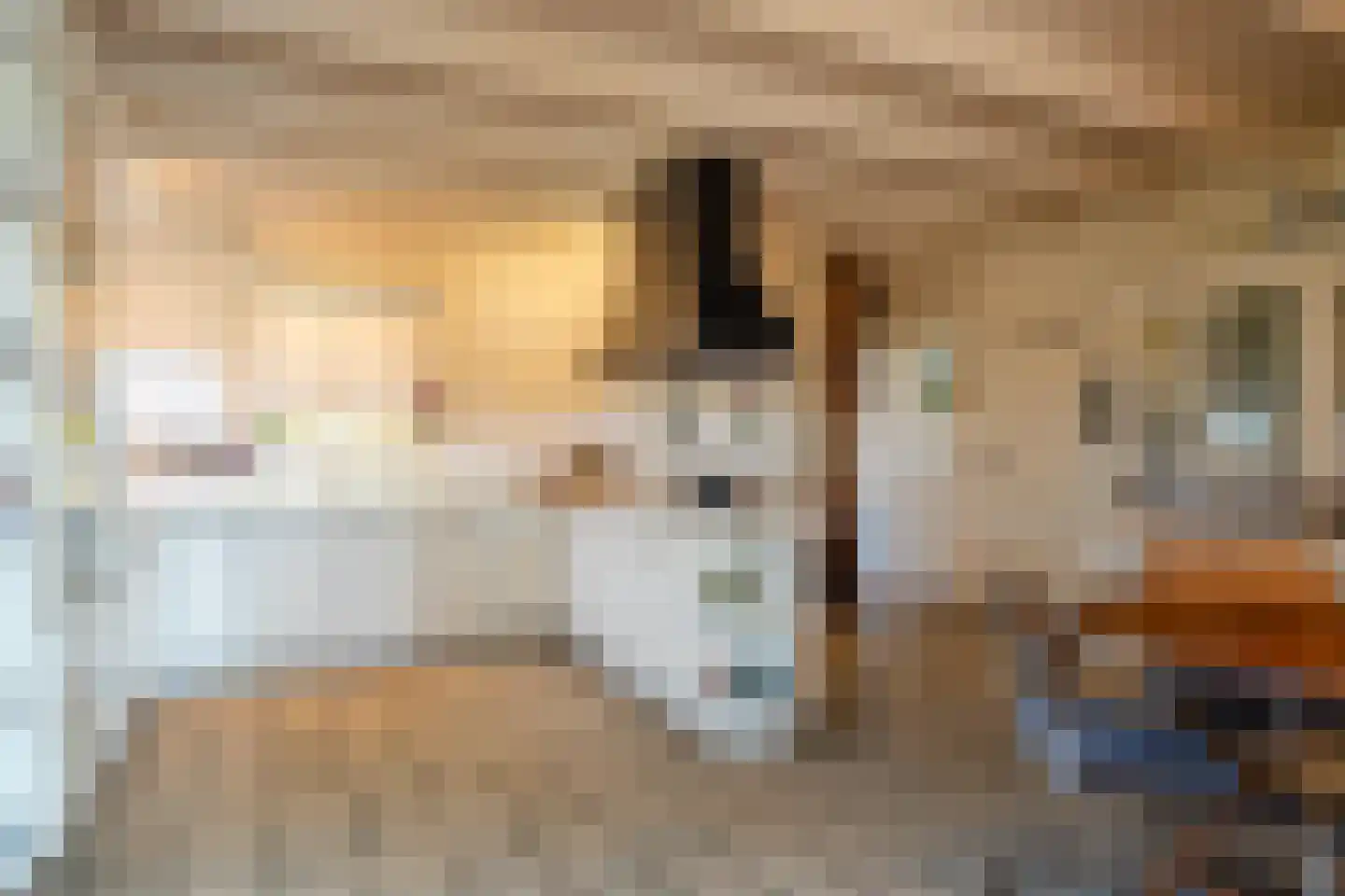 Veenhof 6 Gieten thumbnail 25