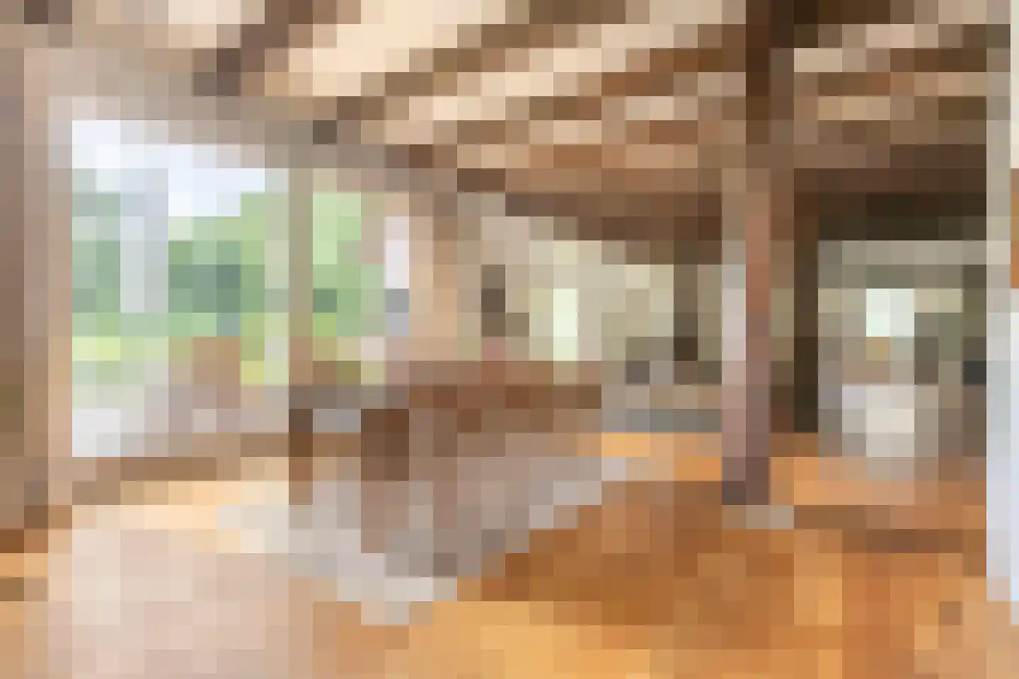 Veenhof 6 Gieten thumbnail 25