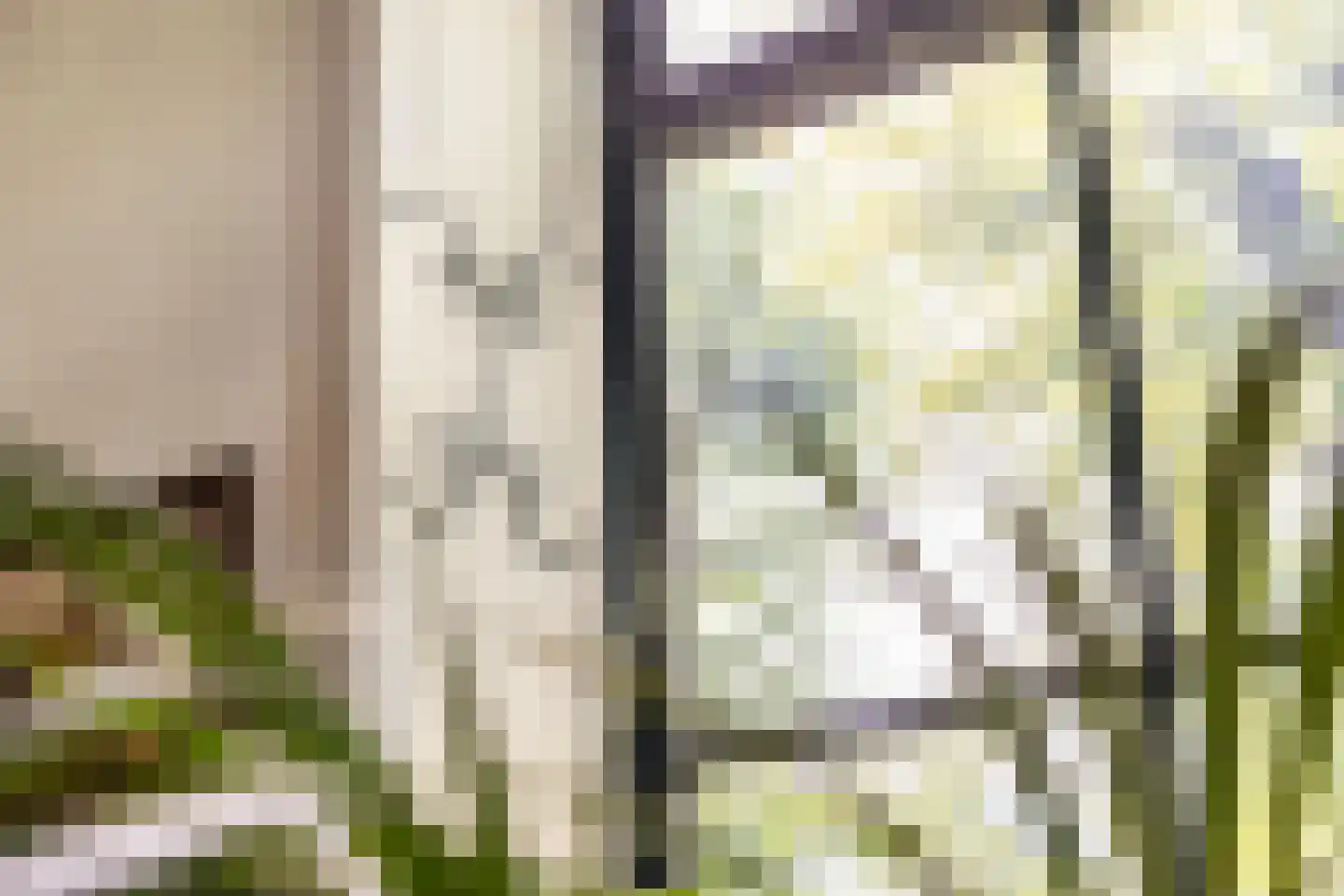 Veenhof 6 Gieten thumbnail 28