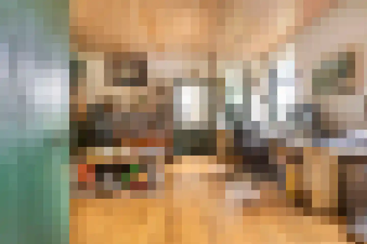 Veenhof 6 Gieten thumbnail 30