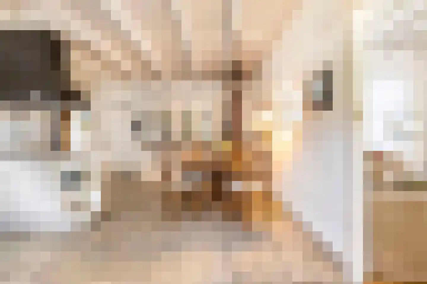 Veenhof 6 Gieten thumbnail 33