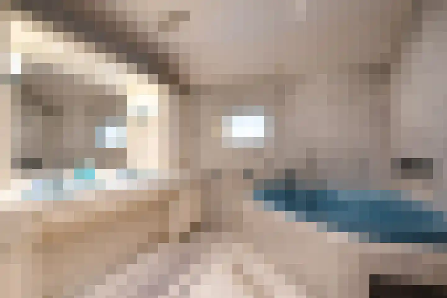 Veenhof 6 Gieten thumbnail 35