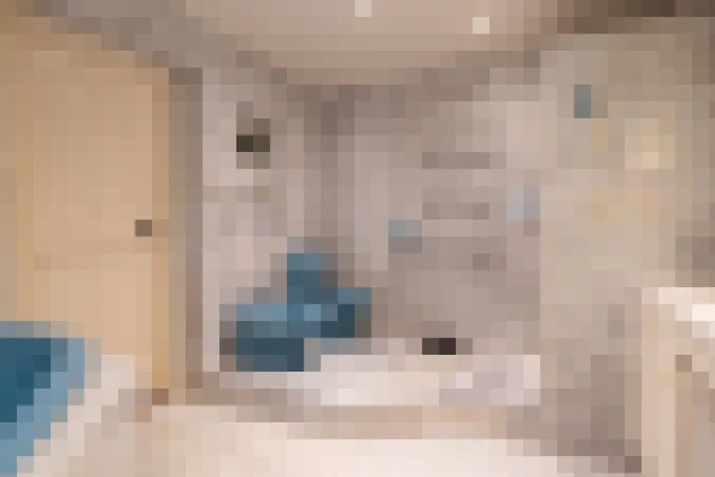 Veenhof 6 Gieten thumbnail 36
