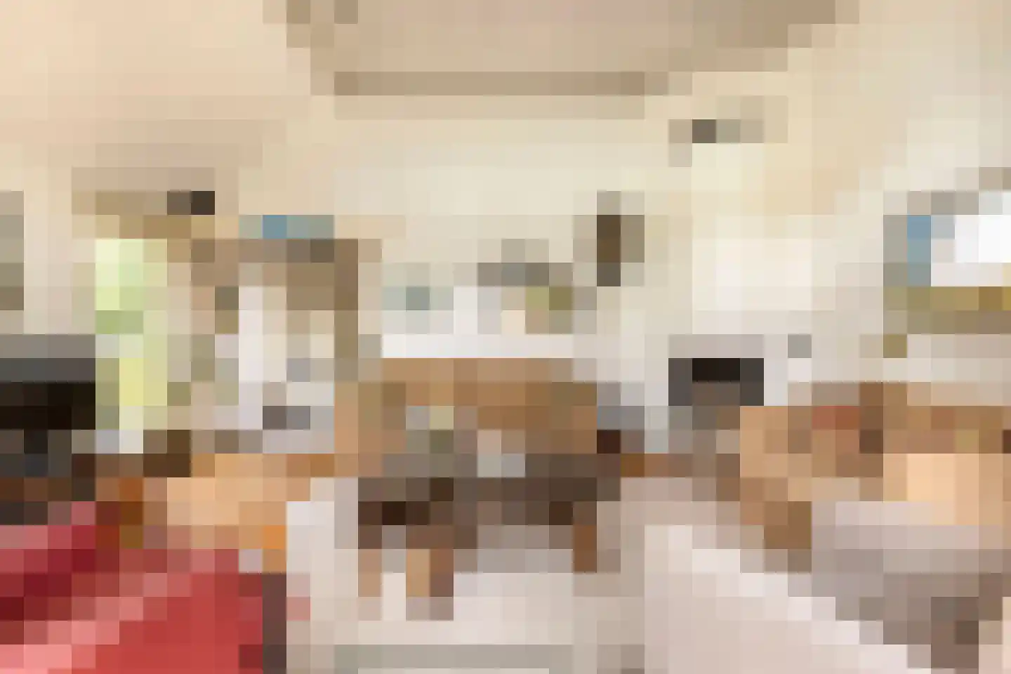 Veenhof 6 Gieten thumbnail 37
