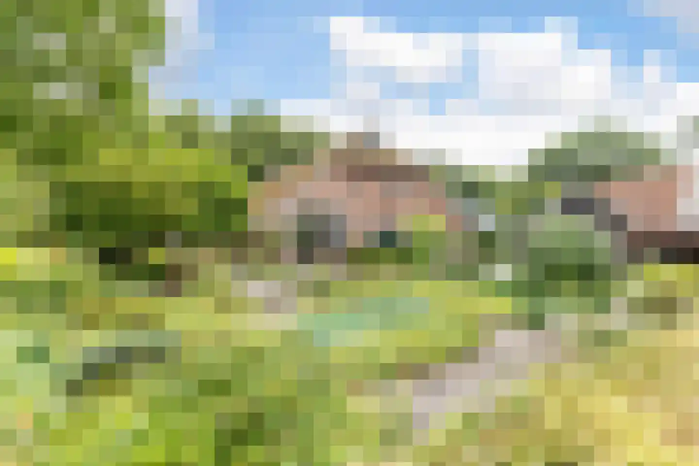 Veenhof 6 Gieten thumbnail 39