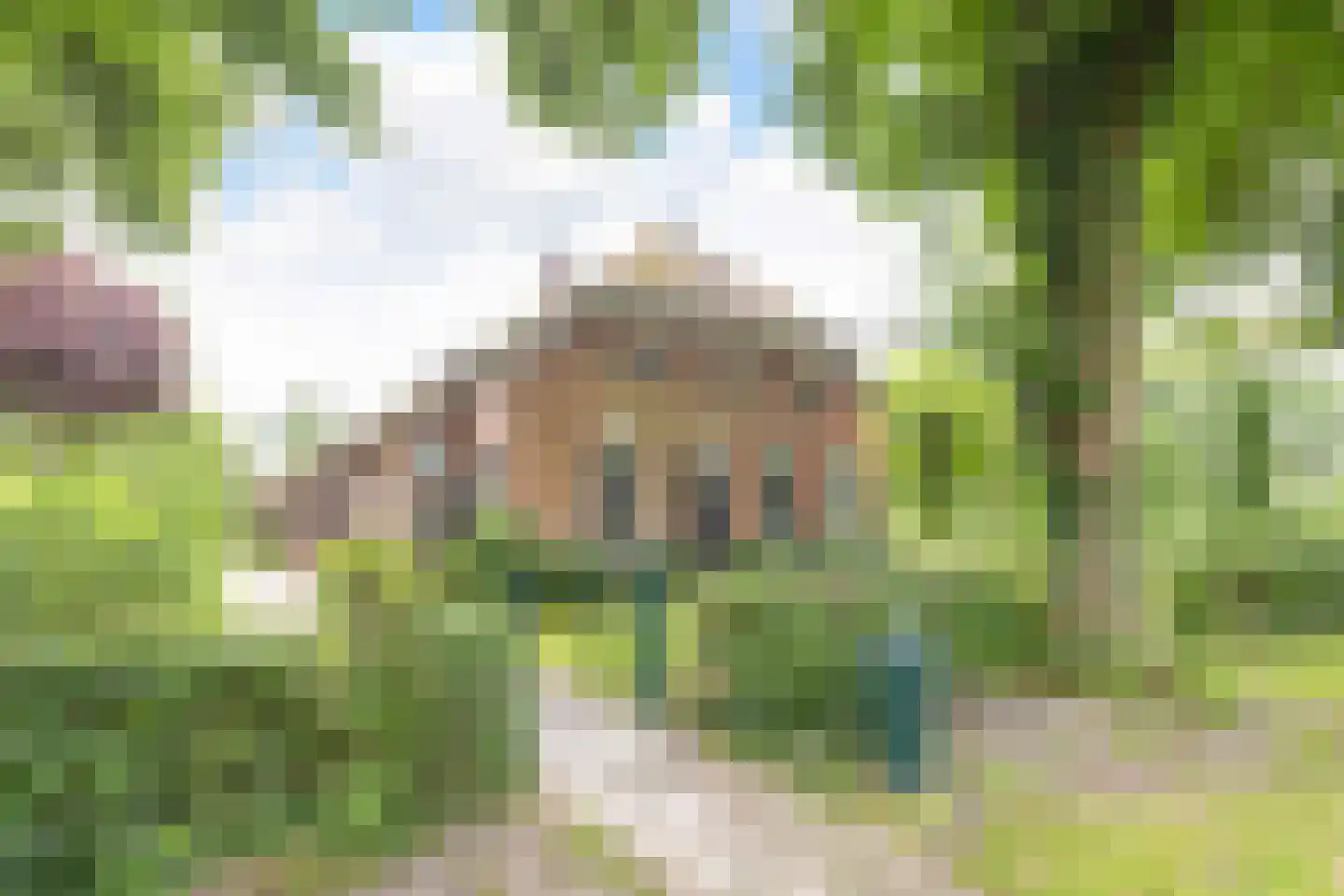 Veenhof 6 Gieten thumbnail 4