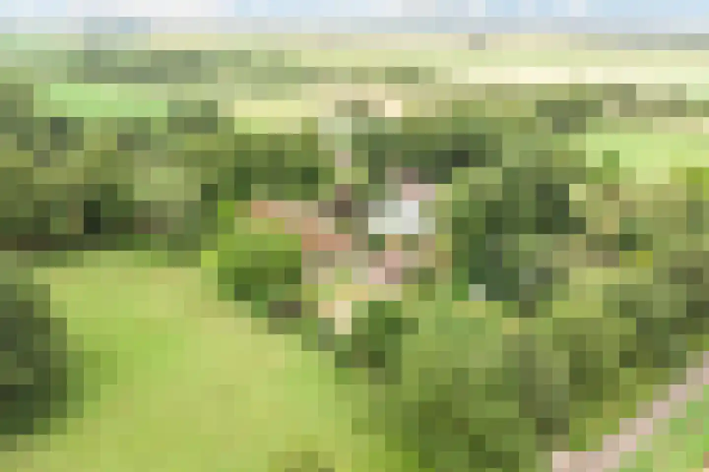 Veenhof 6 Gieten thumbnail 40