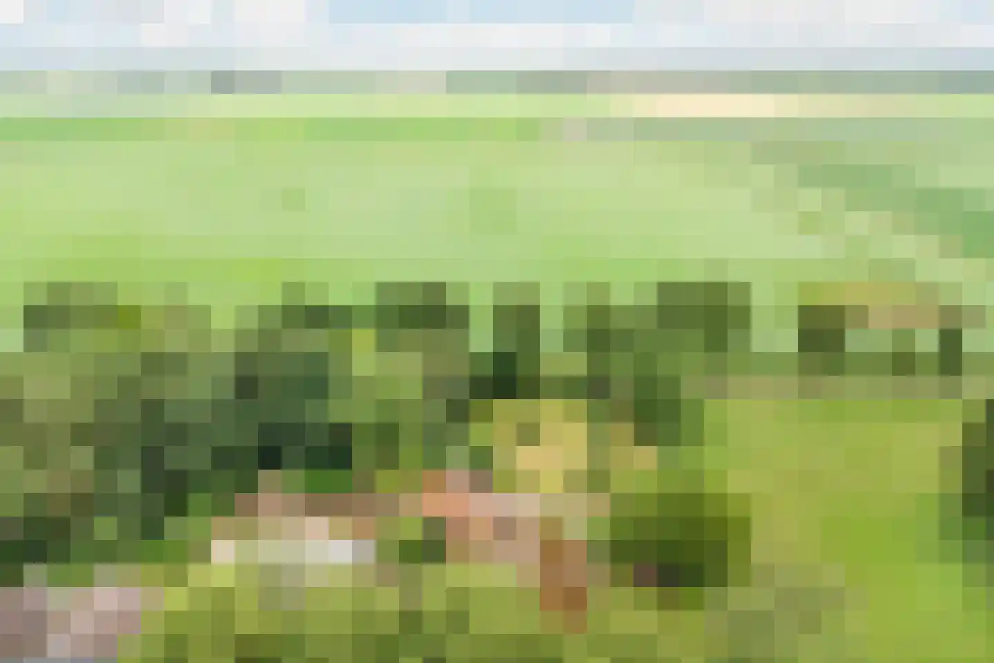Veenhof 6 Gieten thumbnail 41