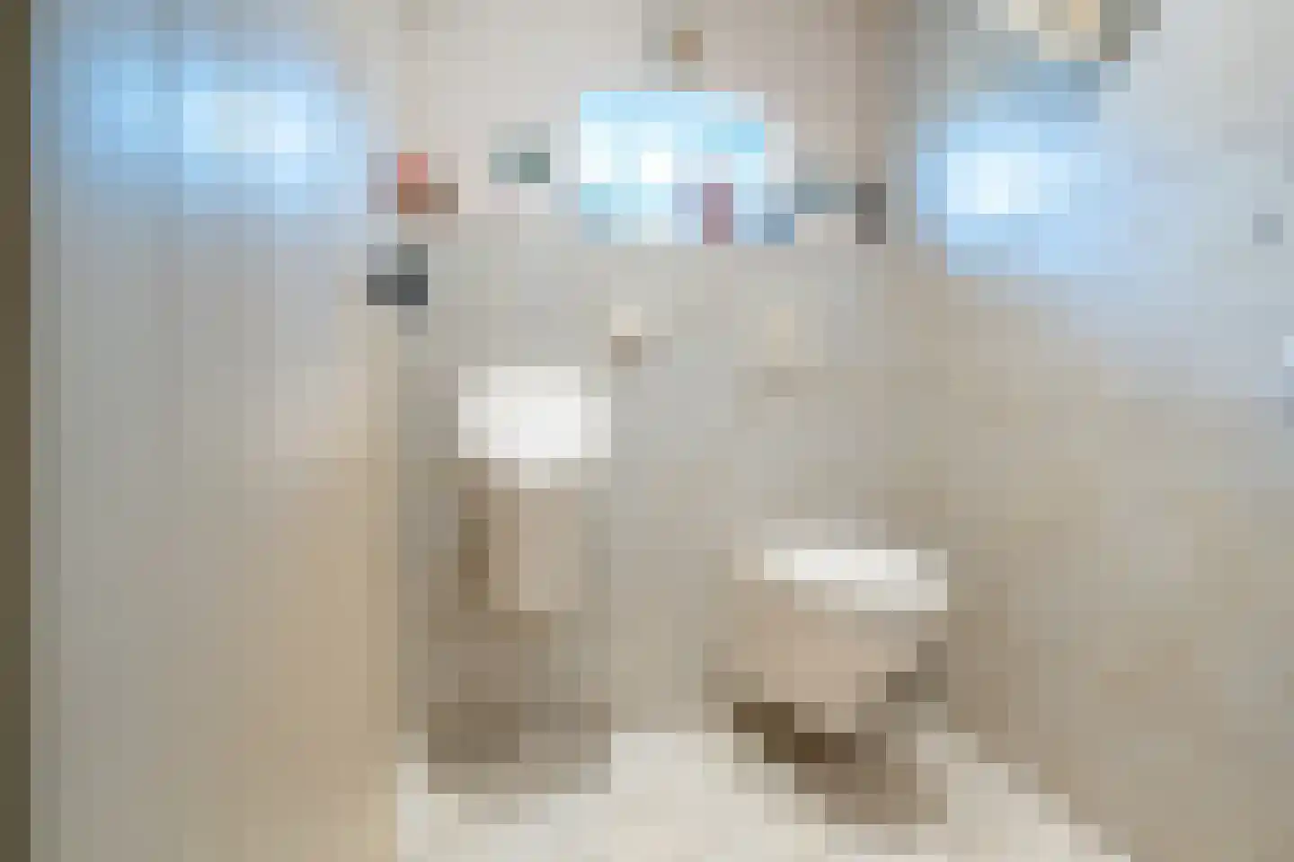 Veenhof 6 Gieten thumbnail 43