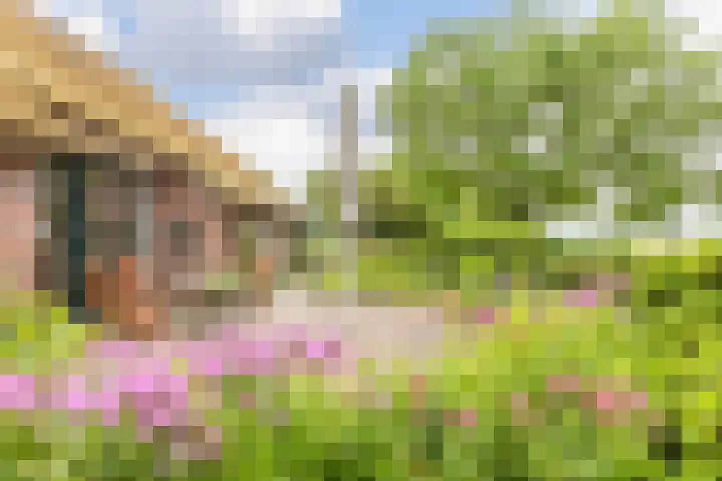 Veenhof 6 Gieten thumbnail 49