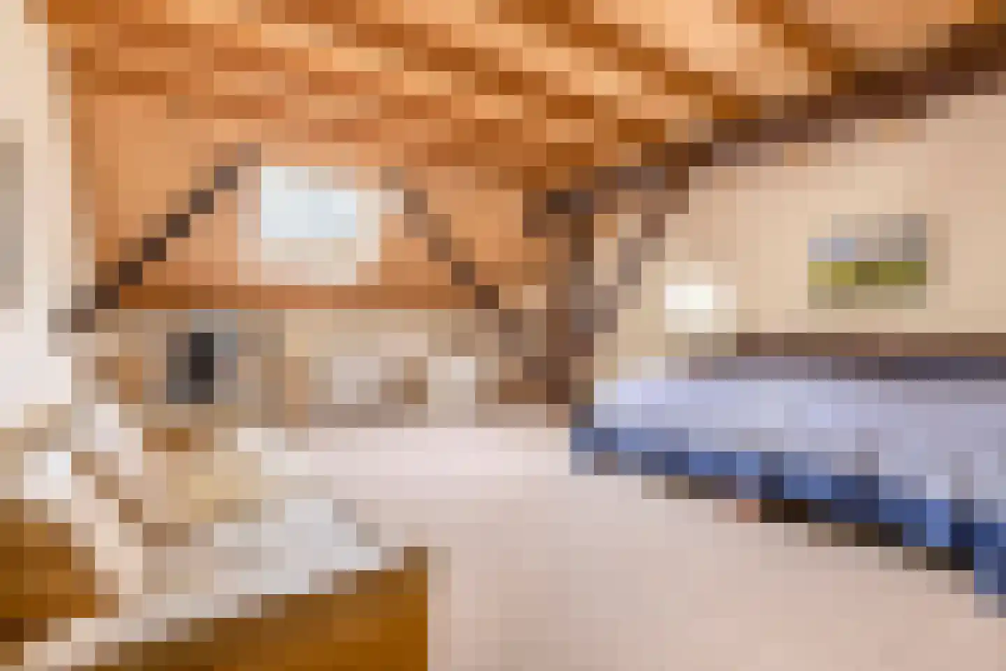 Veenhof 6 Gieten thumbnail 57
