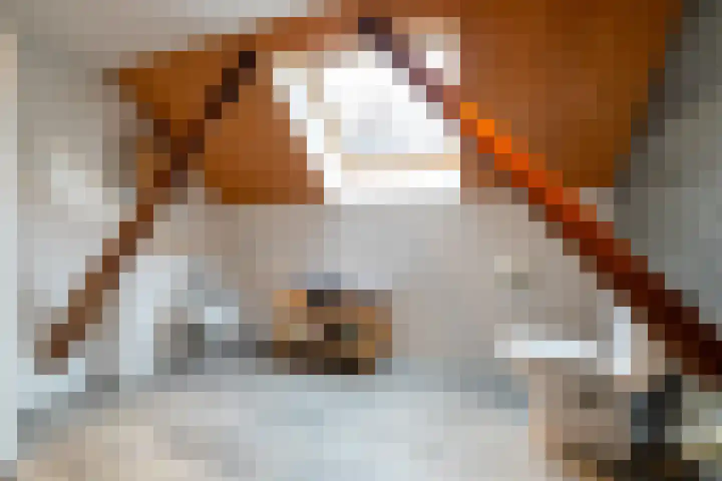 Veenhof 6 Gieten thumbnail 59