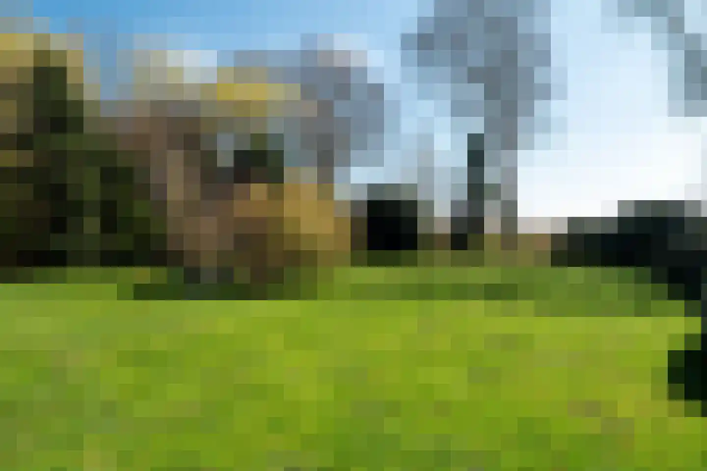 Veenhof 6 Gieten thumbnail 6