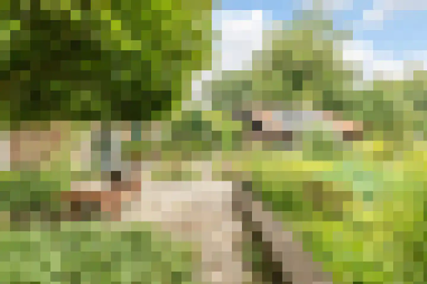 Veenhof 6 Gieten thumbnail 61
