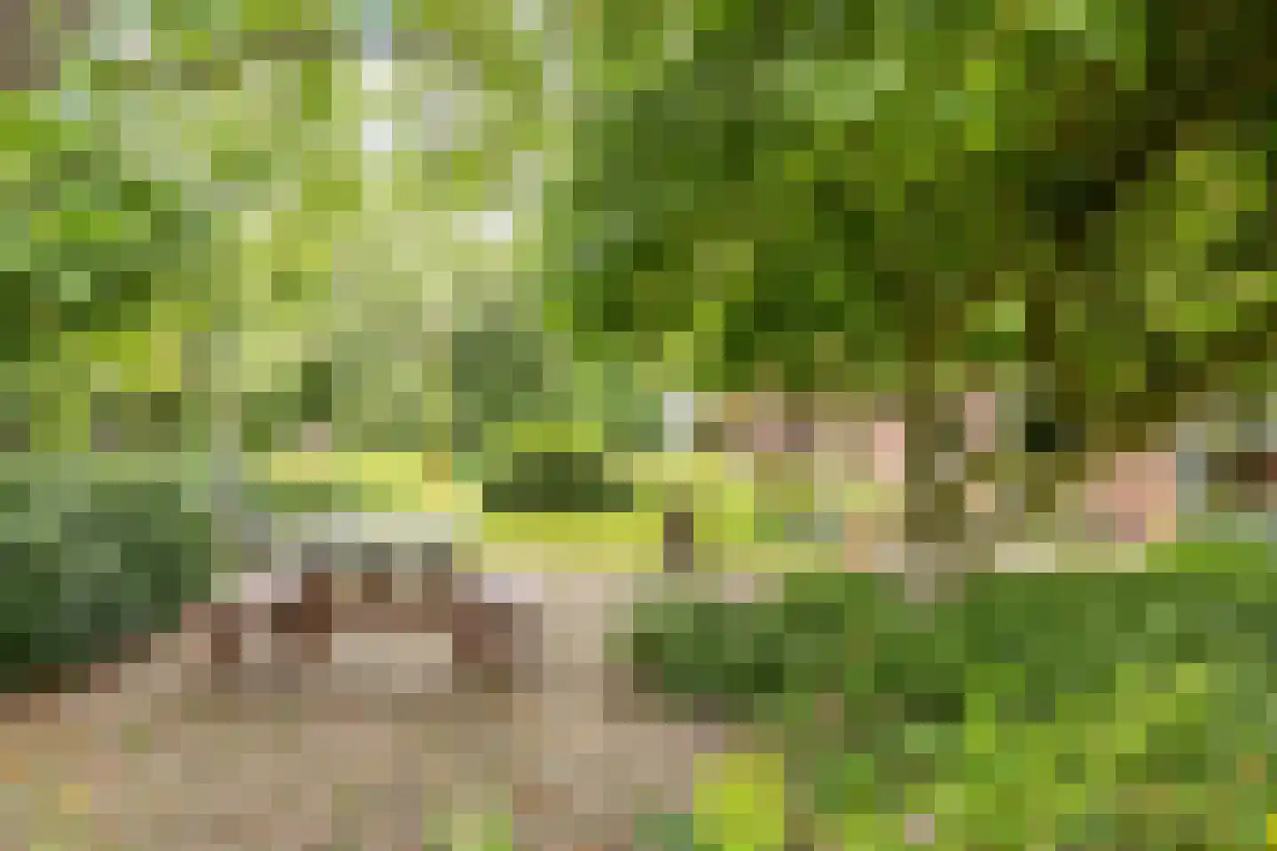Veenhof 6 Gieten thumbnail 62