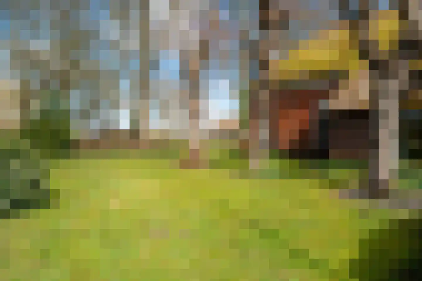Veenhof 6 Gieten thumbnail 62