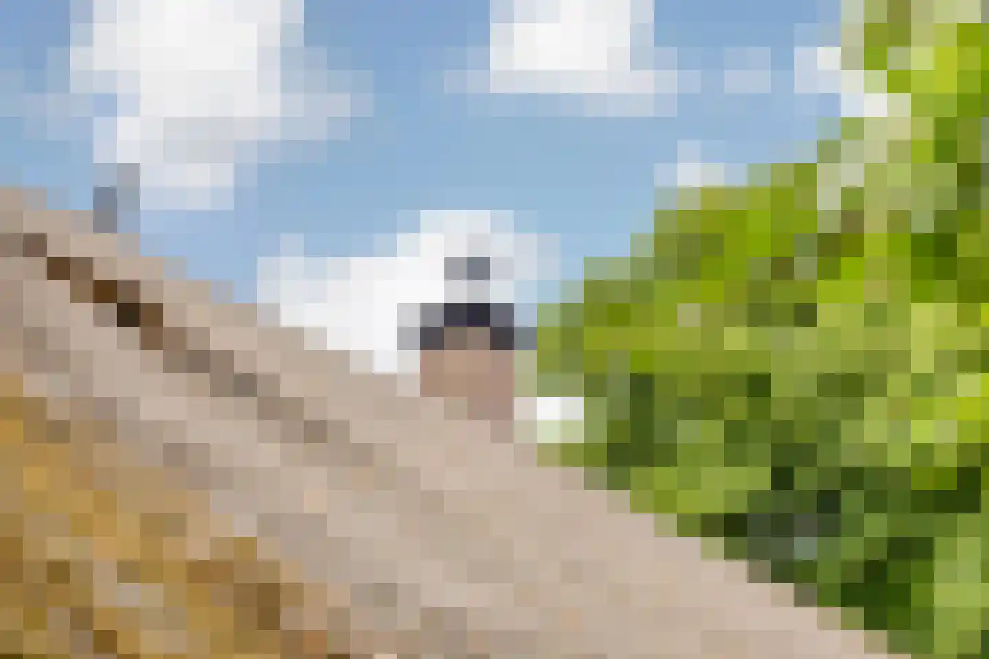 Veenhof 6 Gieten thumbnail 63