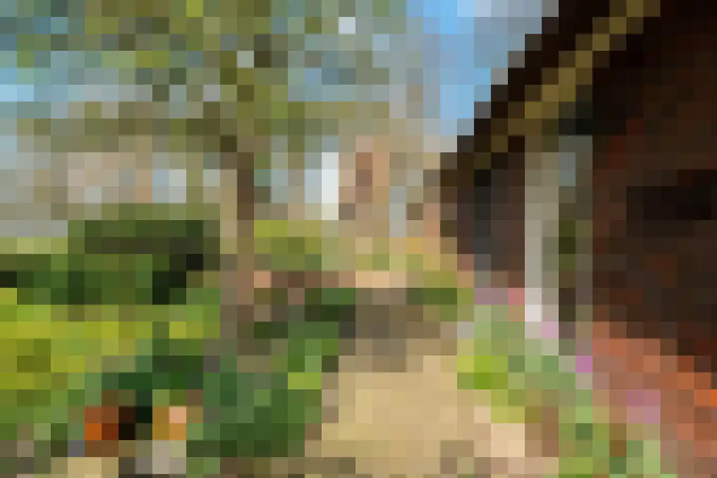 Veenhof 6 Gieten thumbnail 63