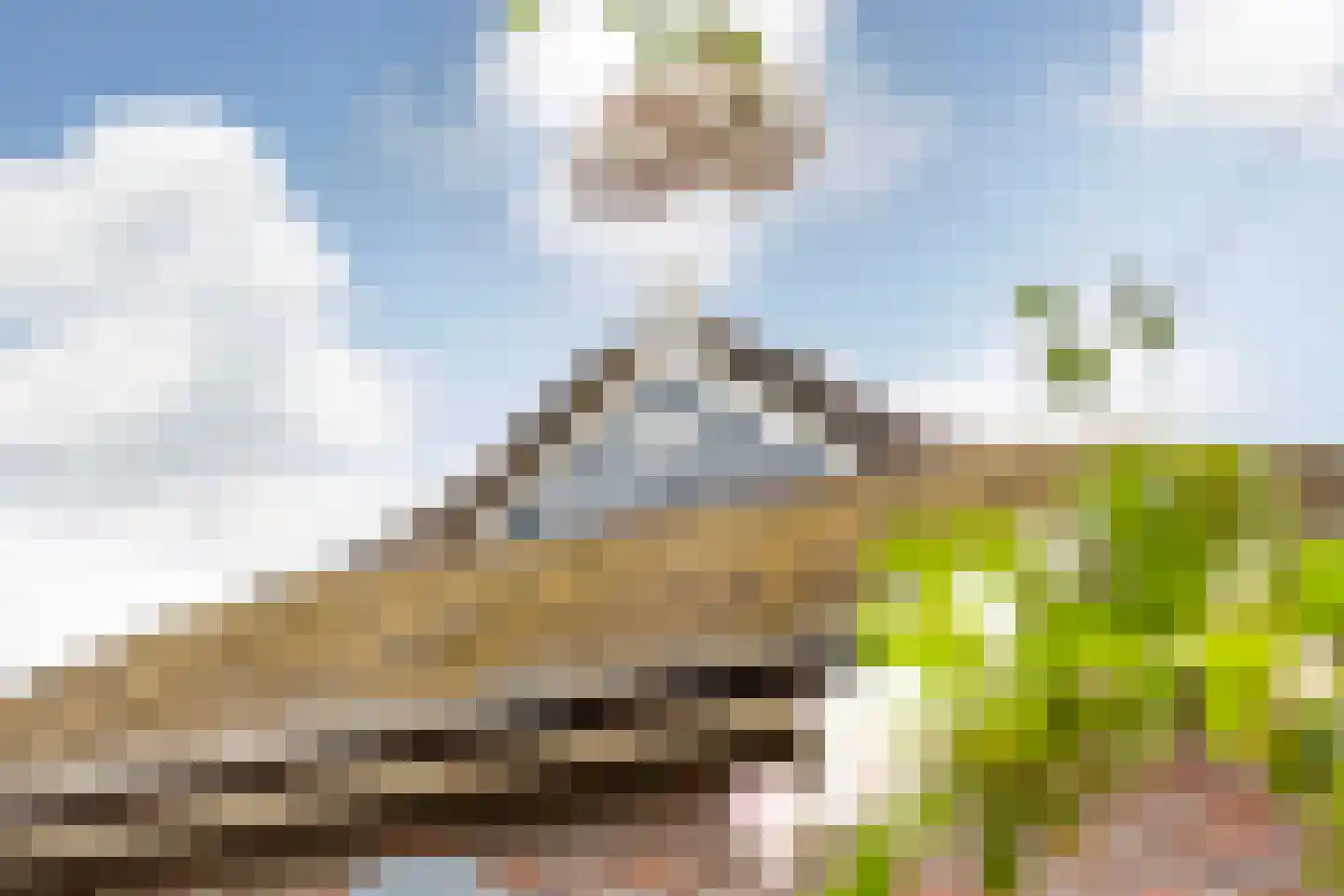 Veenhof 6 Gieten thumbnail 64