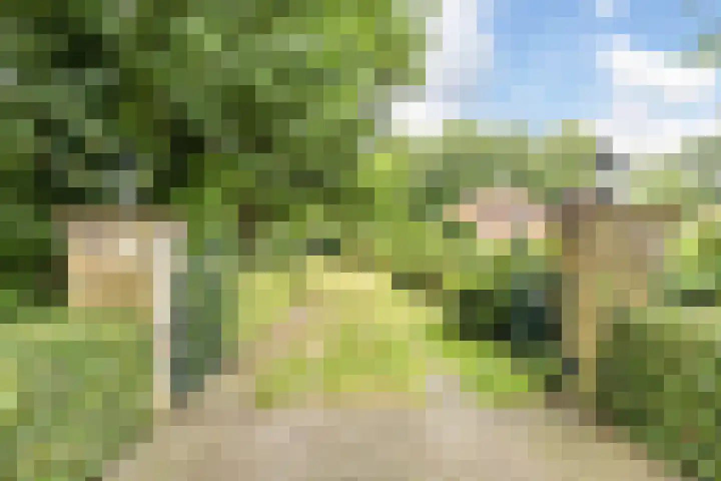 Veenhof 6 Gieten thumbnail 65