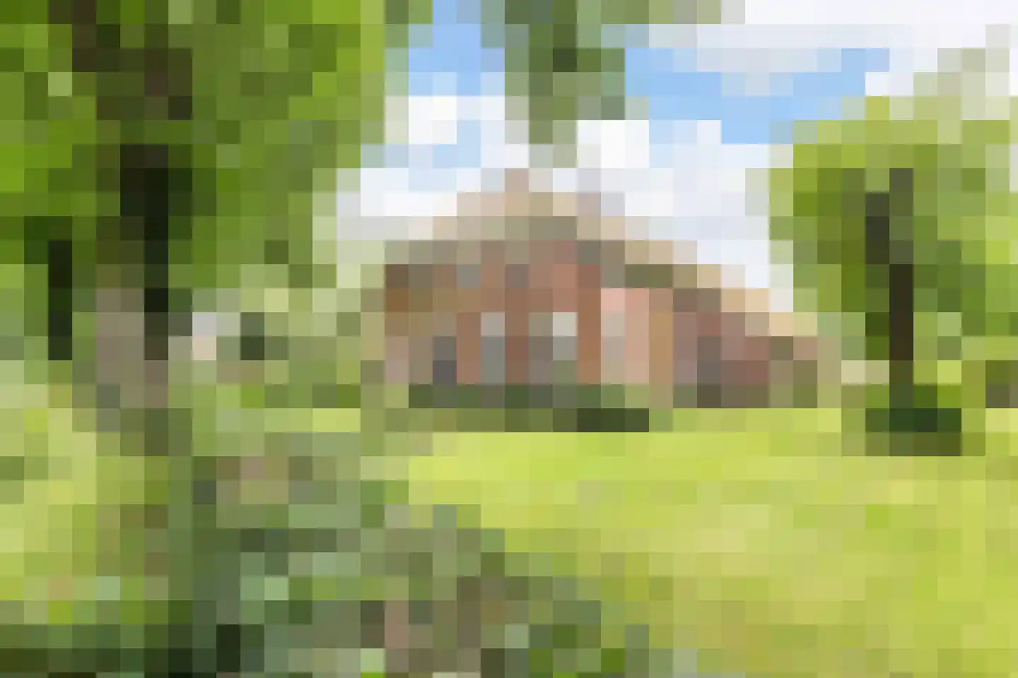 Veenhof 6 Gieten thumbnail 66