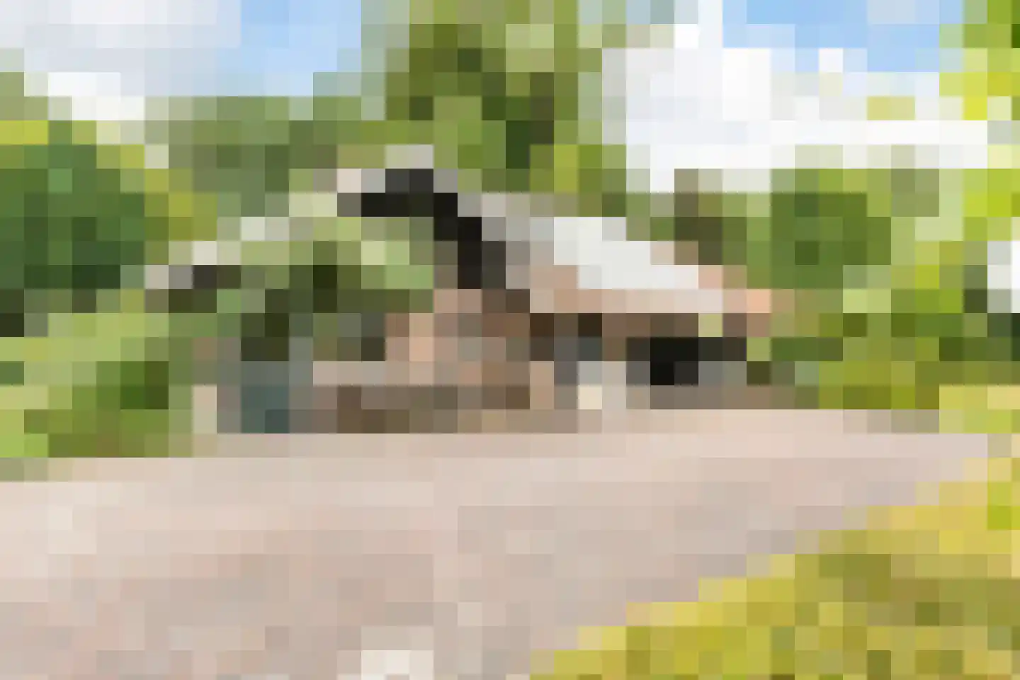 Veenhof 6 Gieten thumbnail 7