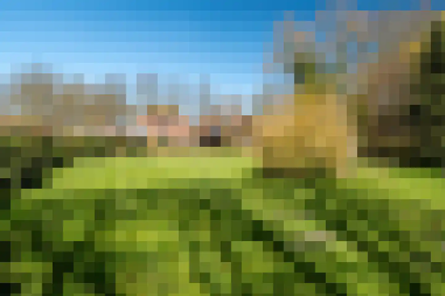Veenhof 6 Gieten thumbnail 70