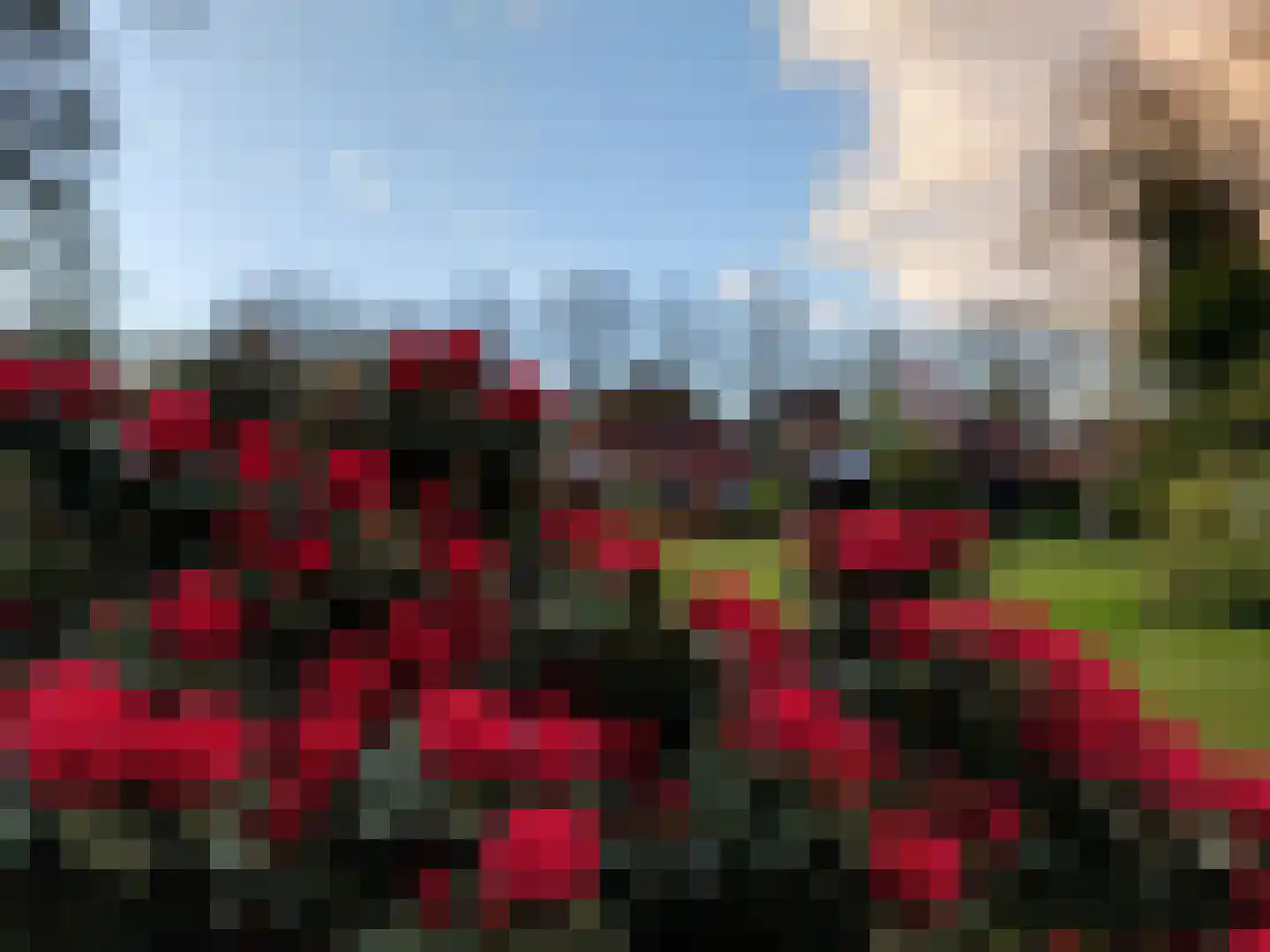 Veenhof 6 Gieten thumbnail 71