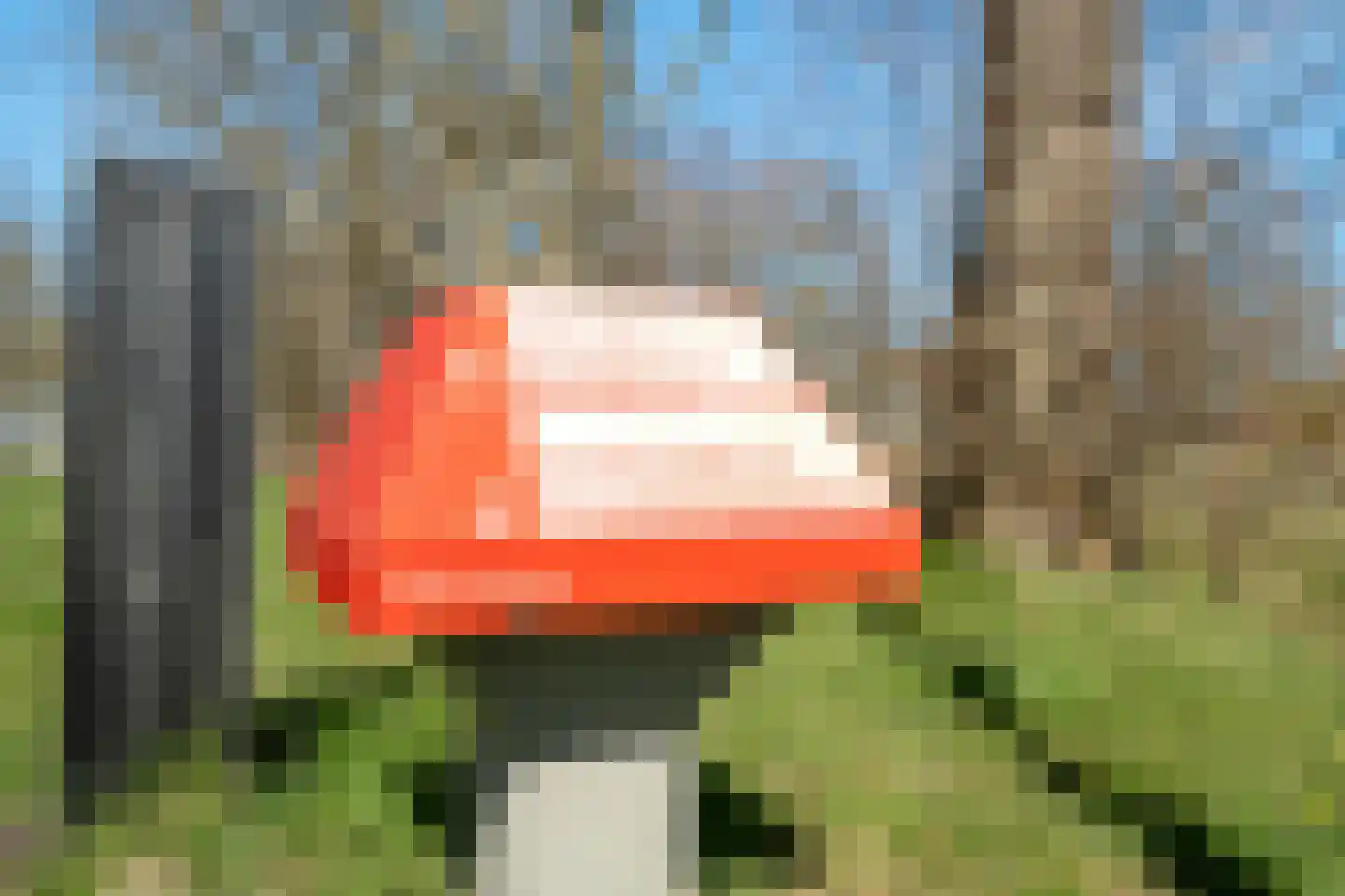 Veenhof 6 Gieten thumbnail 73