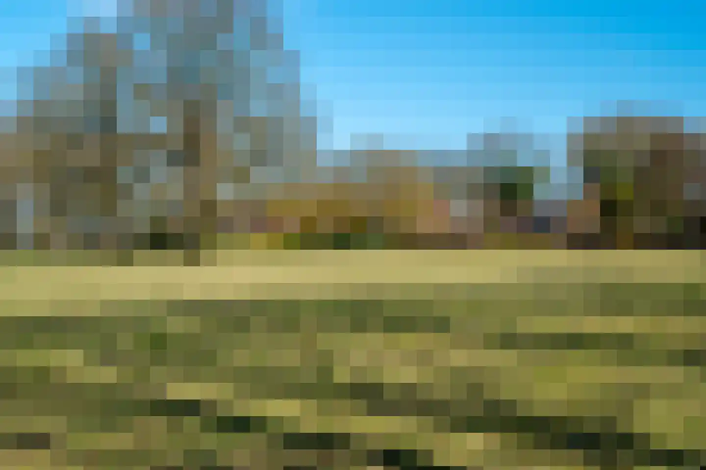Veenhof 6 Gieten thumbnail 76