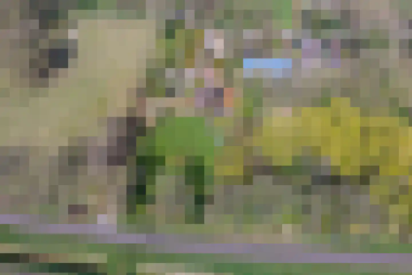 Veenhof 6 Gieten thumbnail 79