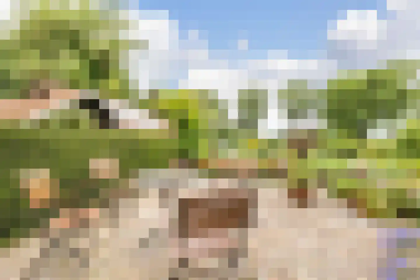 Veenhof 6 Gieten thumbnail 8