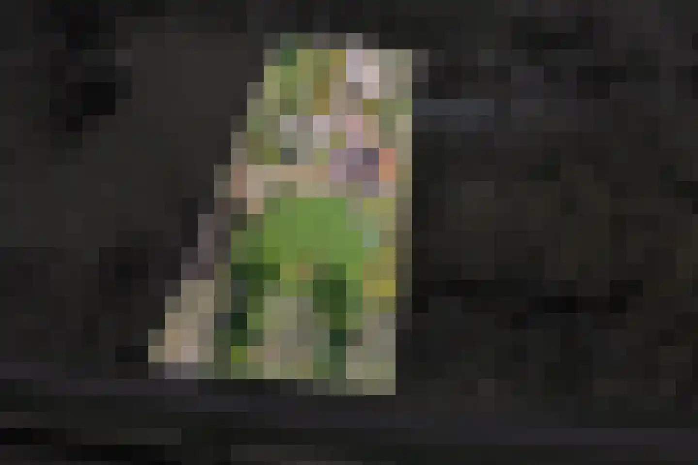 Veenhof 6 Gieten thumbnail 80