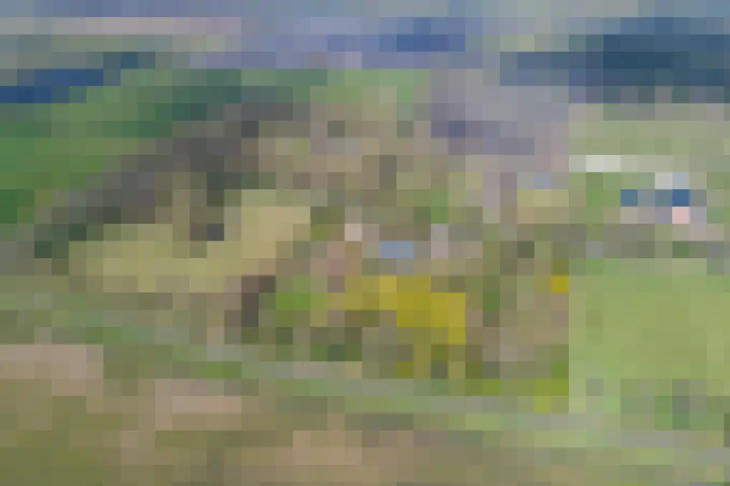 Veenhof 6 Gieten thumbnail 81