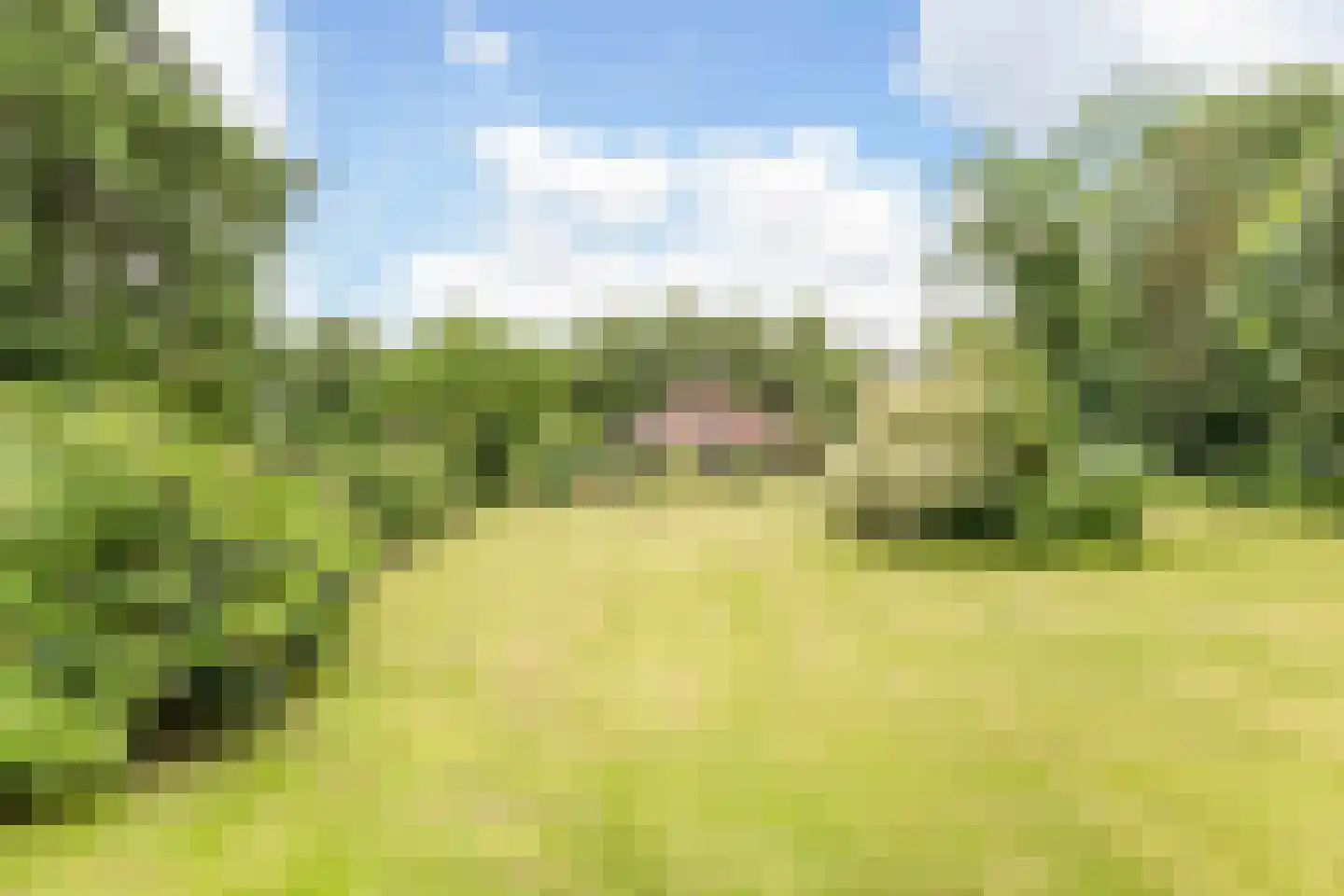 Veenhof 6 Gieten thumbnail 9