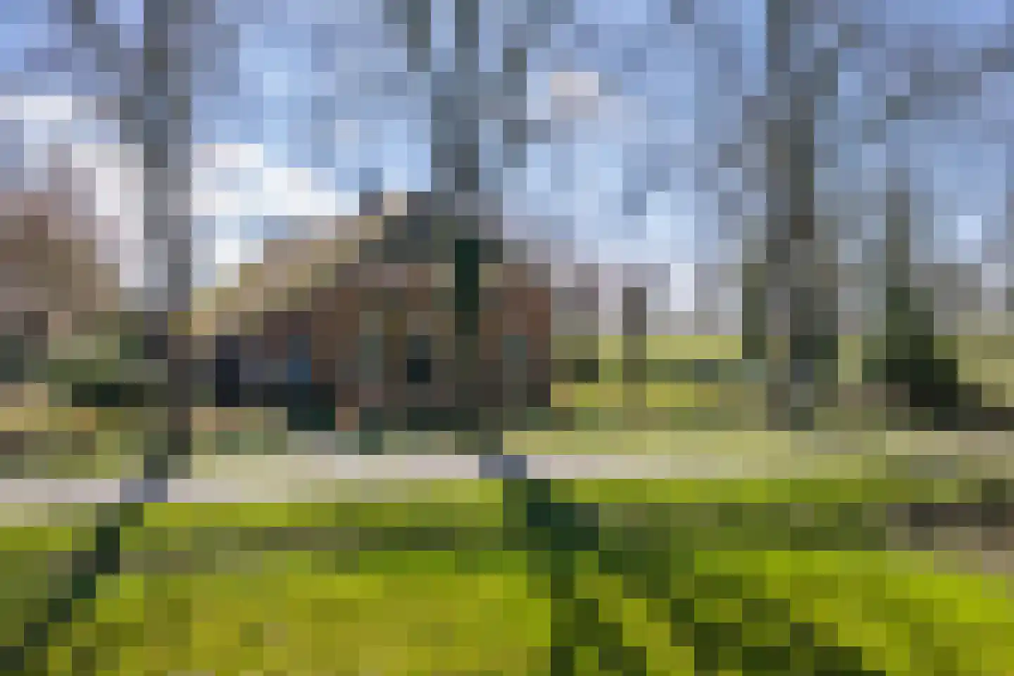 Veenhof 6 Gieten thumbnail 9