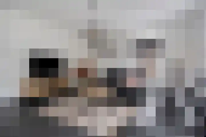 Veenhofsweg 41 Alteveer thumbnail 14