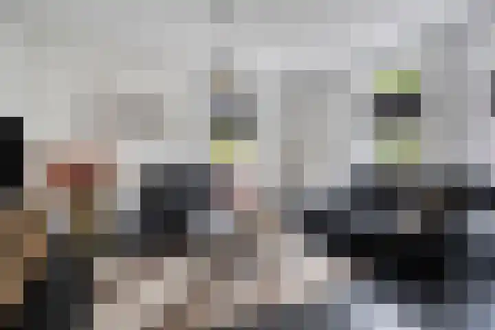 Veenhofsweg 41 Alteveer thumbnail 15
