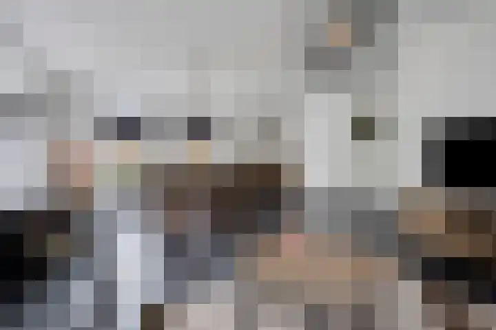 Veenhofsweg 41 Alteveer thumbnail 16