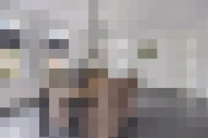 Veenhofsweg 41 Alteveer thumbnail 18