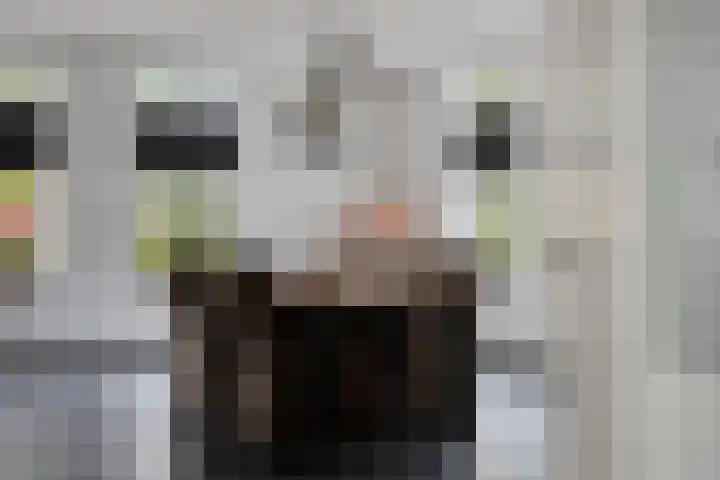 Veenhofsweg 41 Alteveer thumbnail 20