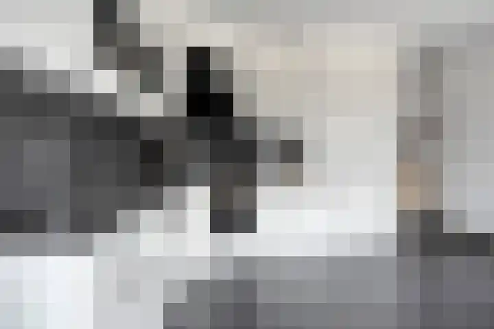 Veenhofsweg 41 Alteveer thumbnail 21
