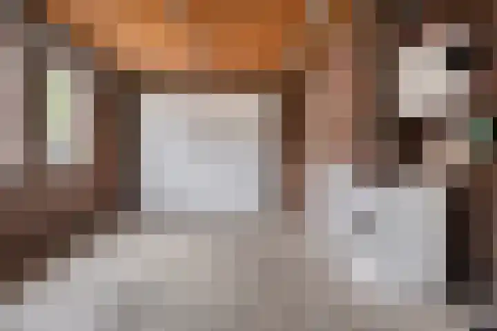 Veenhofsweg 41 Alteveer thumbnail 26