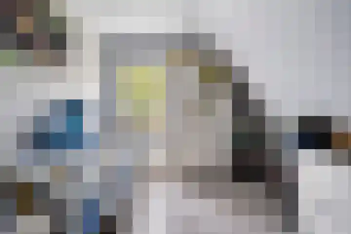 Veenhofsweg 41 Alteveer thumbnail 33