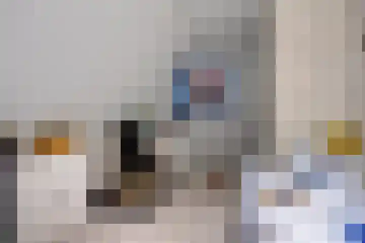 Veenhofsweg 41 Alteveer thumbnail 34