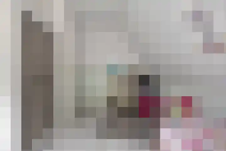 Veenhofsweg 41 Alteveer thumbnail 36
