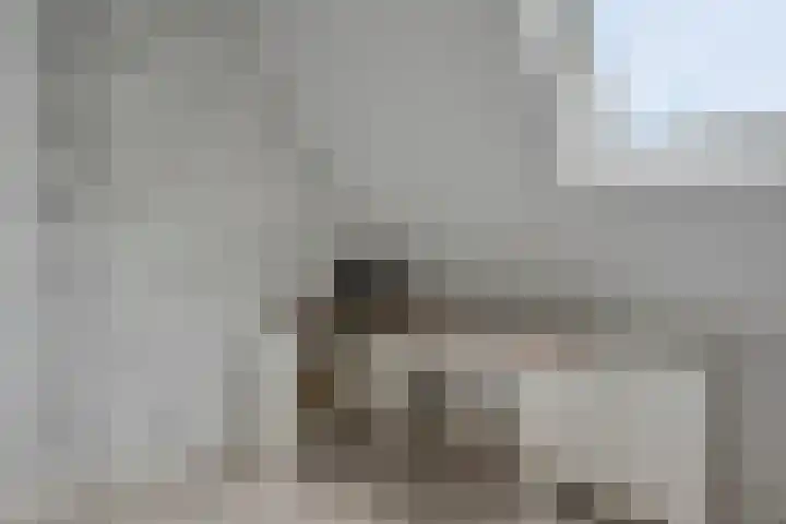Veenhofsweg 41 Alteveer thumbnail 37