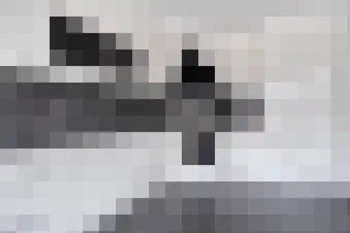 Veenhofsweg 41 Alteveer thumbnail 4