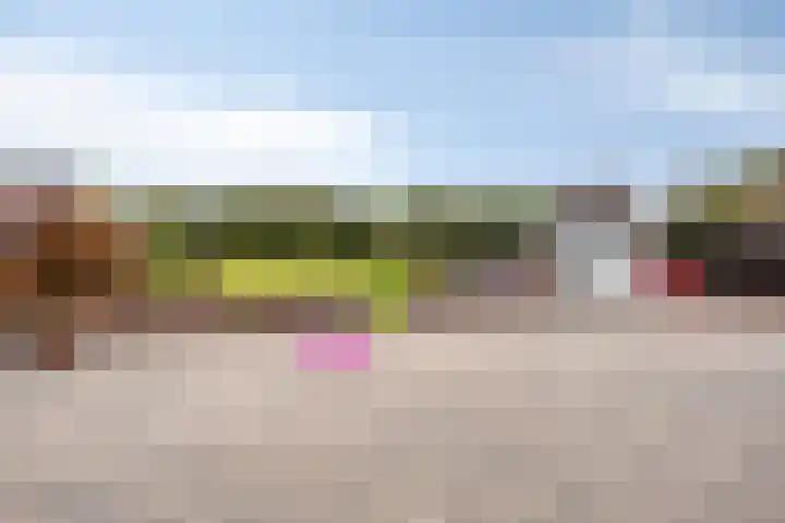 Veenhofsweg 41 Alteveer thumbnail 42